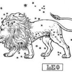 Understanding Astrology: Myths And Facts