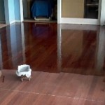 How to Clean the Most Common Flooring Types